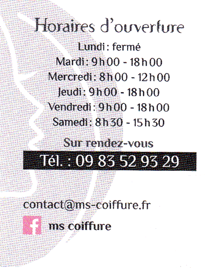 ms coifure 2